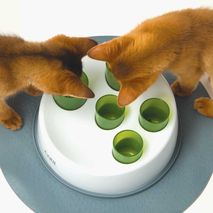 Interactive slow feeder has cups filled with cat treats