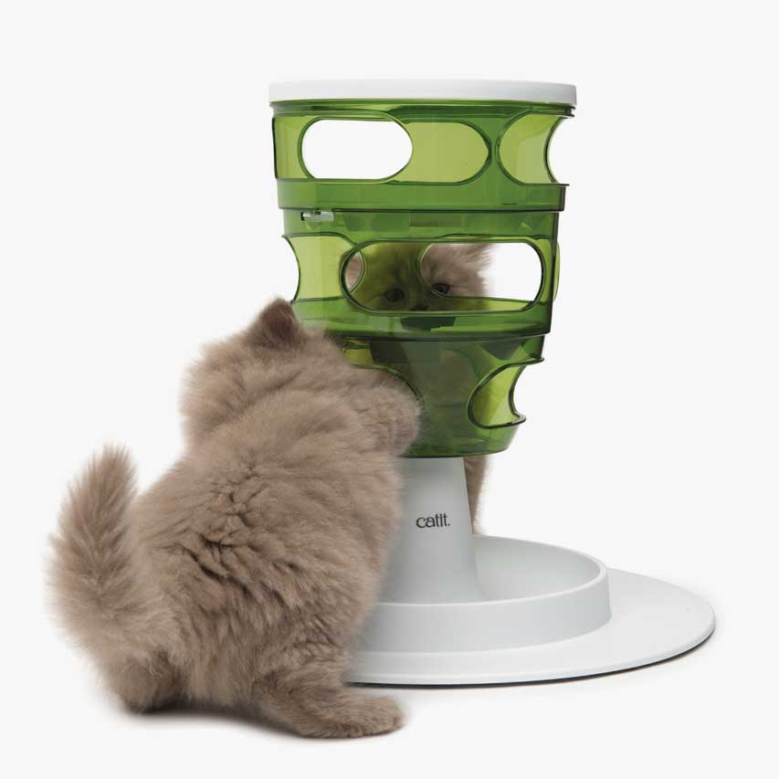 Árbol de comida para gatos con comida y golosinas en cuatro niveles
