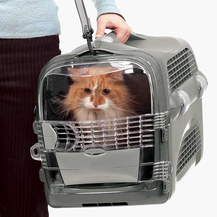 Cat carrier with strong handle and carrying strap