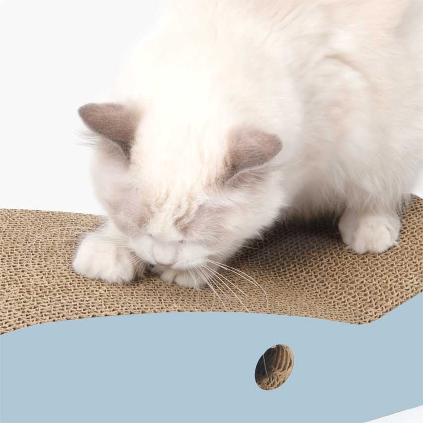 Catnip included to enrich the scratching experience