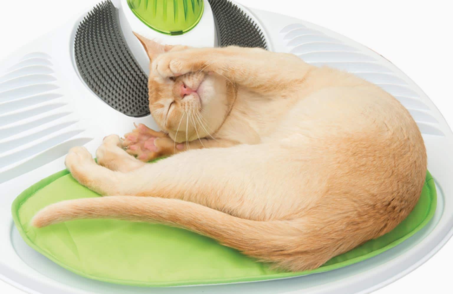 Spa dla kota Catit Senses Wellness Center