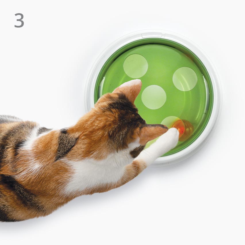 Eine Katze schnappt mit ihrer Pfote nach den Öffnungen in der grünen Abdeckung