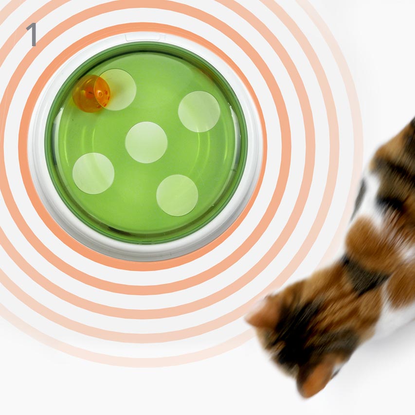 Eine Katze geht an der Senses Ball-Kuppel vorbei, um das Spielzeug zu aktiveren