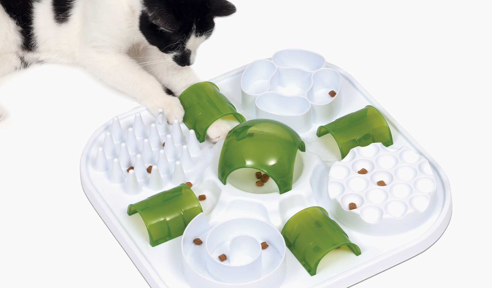 Kot łapie smakołyki w tunelach układanki z przysmakami