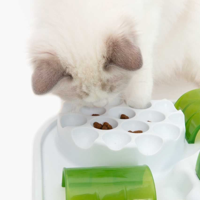 Catit Senses Treat Puzzle Products Catit Senses Treat Puzzle Products