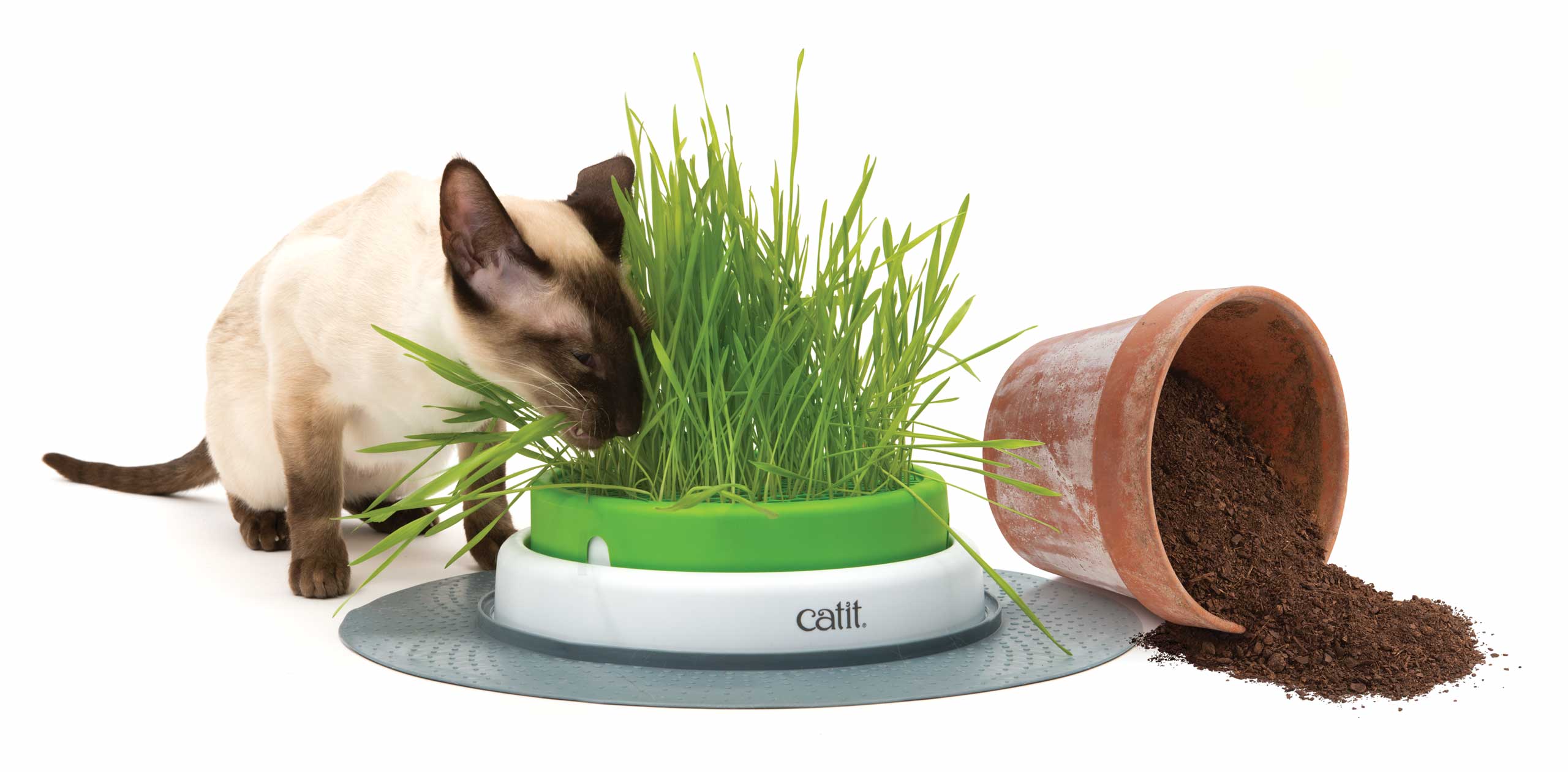 Catit Grass Cat Garden Kit grass included 