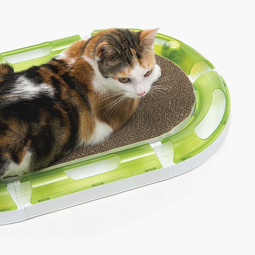 Eine Katze liegt auf der ovalen Kratzmatte