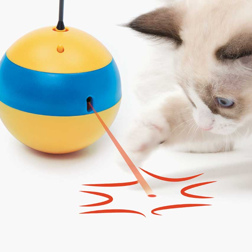 Spinning cat toy with laser beams