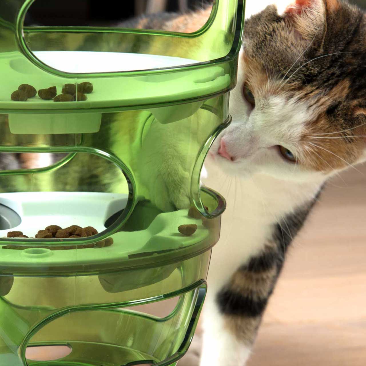 Slow feeder that intrigues cats and encourages them to paw out food