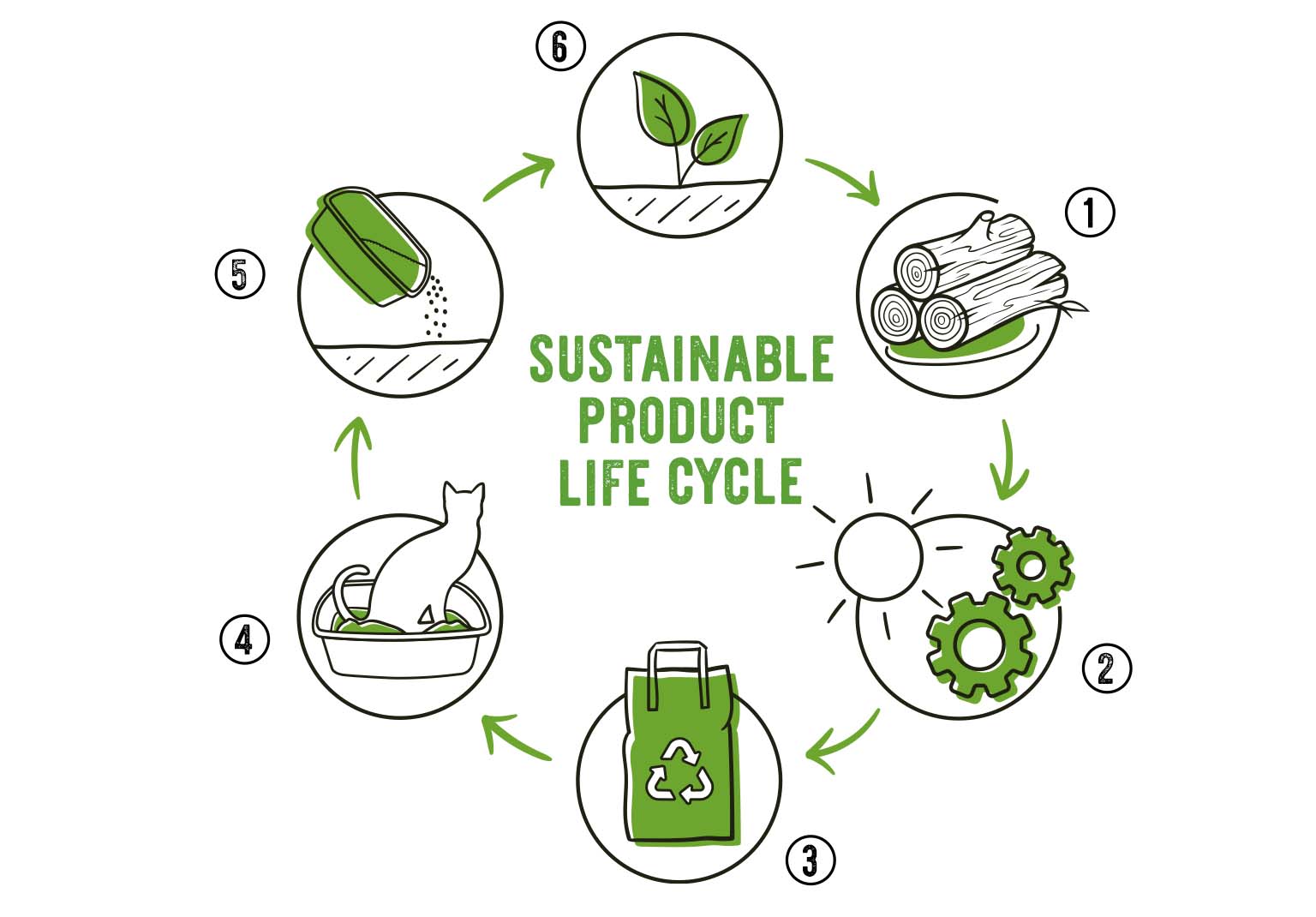 Sustainable production cycle of Go Natural Wood Clumping Litter