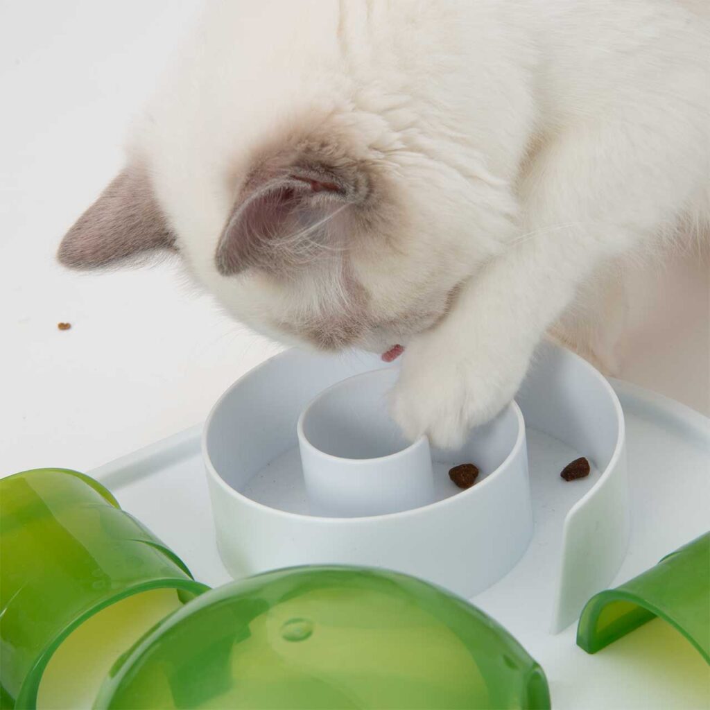 Espiral de alimentos cheia de guloseimas para gatos