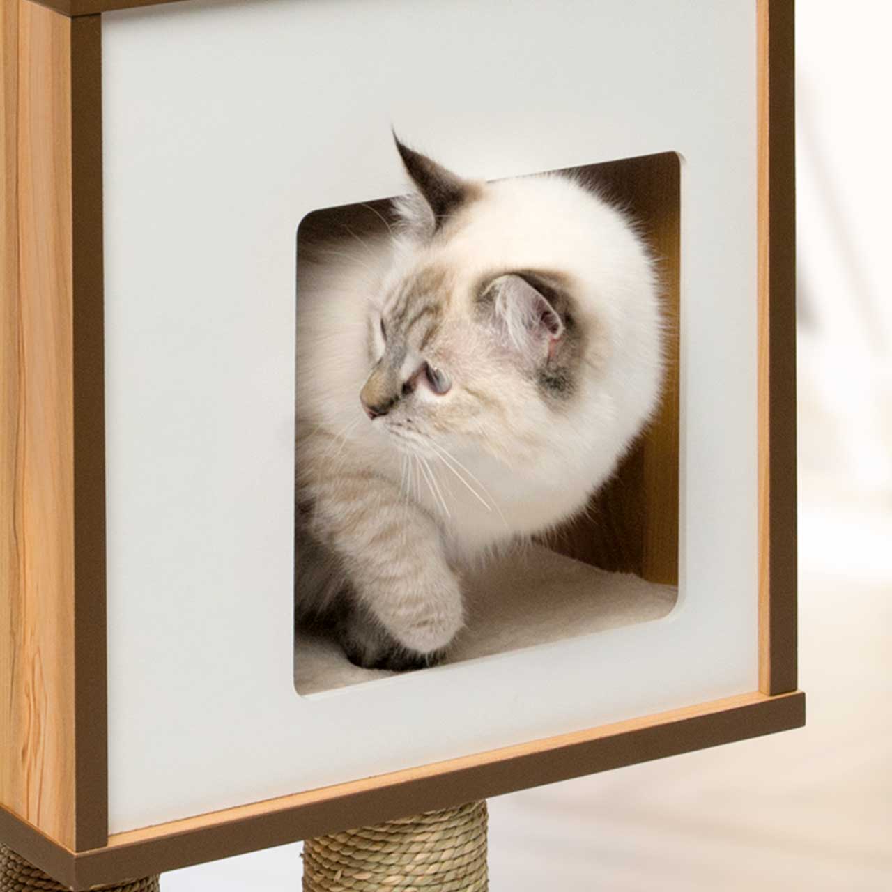 Esconderijo para gatos em forma de cubo