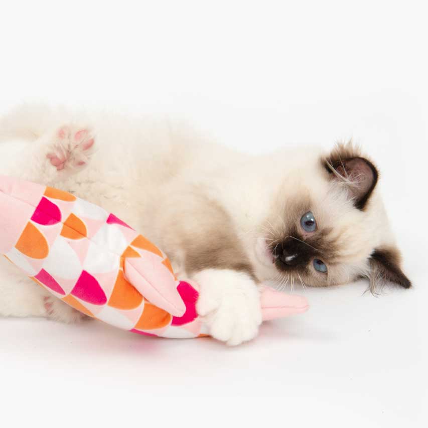 Wende Katzenminze-Produkte auf den Lieblingsspielzeugen deiner Katze an