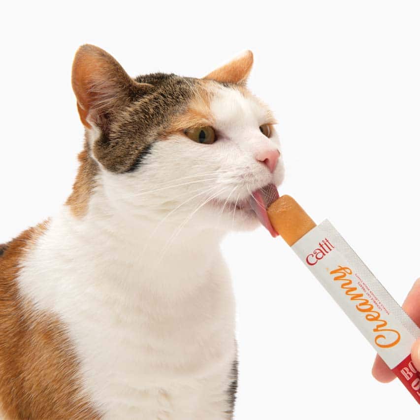 Stop Catit Creamy in de vriezer om ijslollies te maken voor je kat