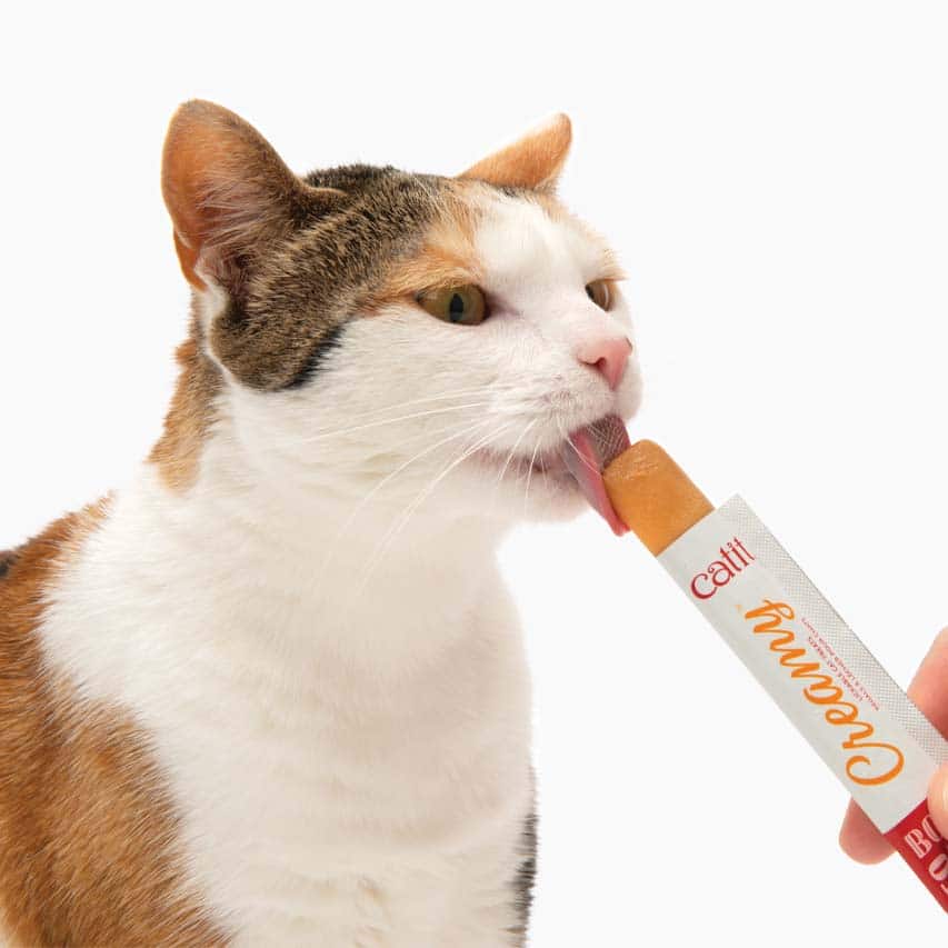 Congelez-les pour en faire des bâtonnets glacés pour chats