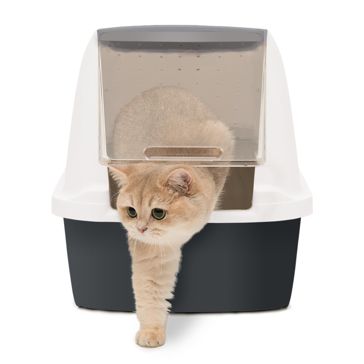 Spacious hooded litter box with paw-safe front door