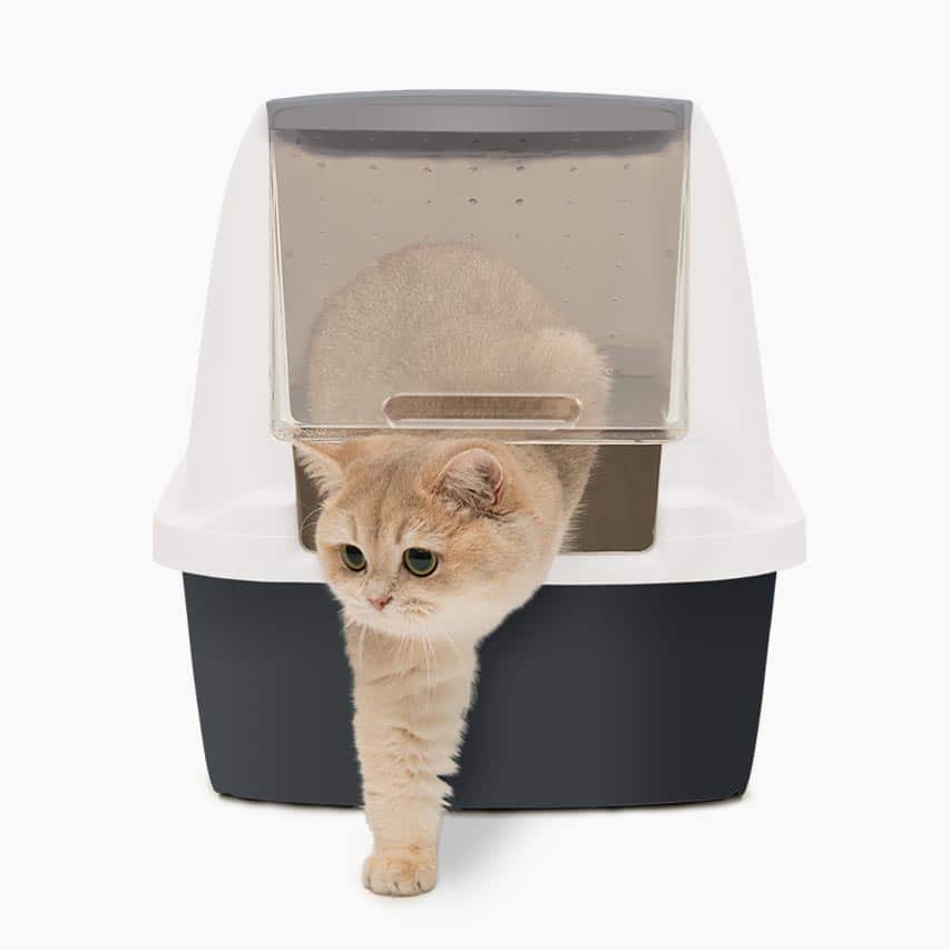 Hooded litter box with paw-safe entrance
