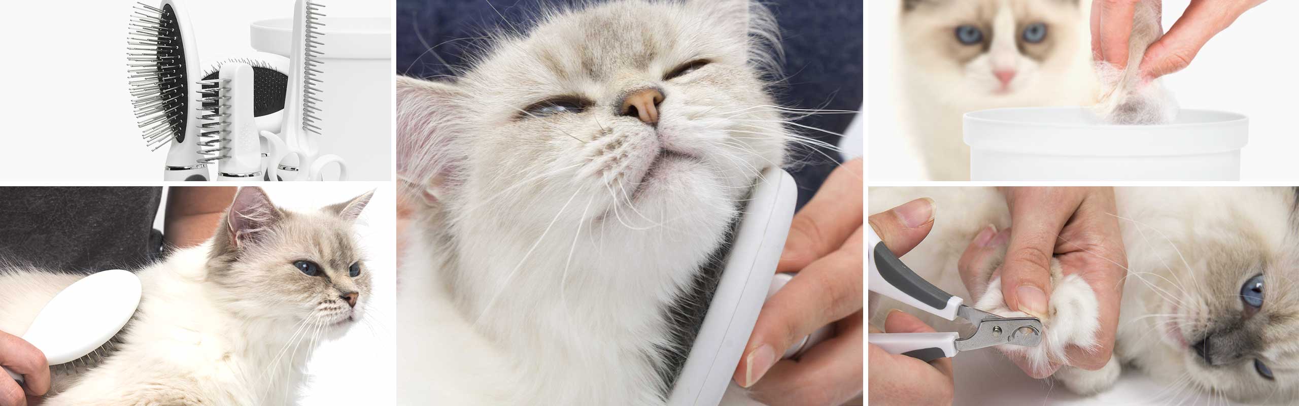 Trousse de toilettage Catit pour chats à poil long