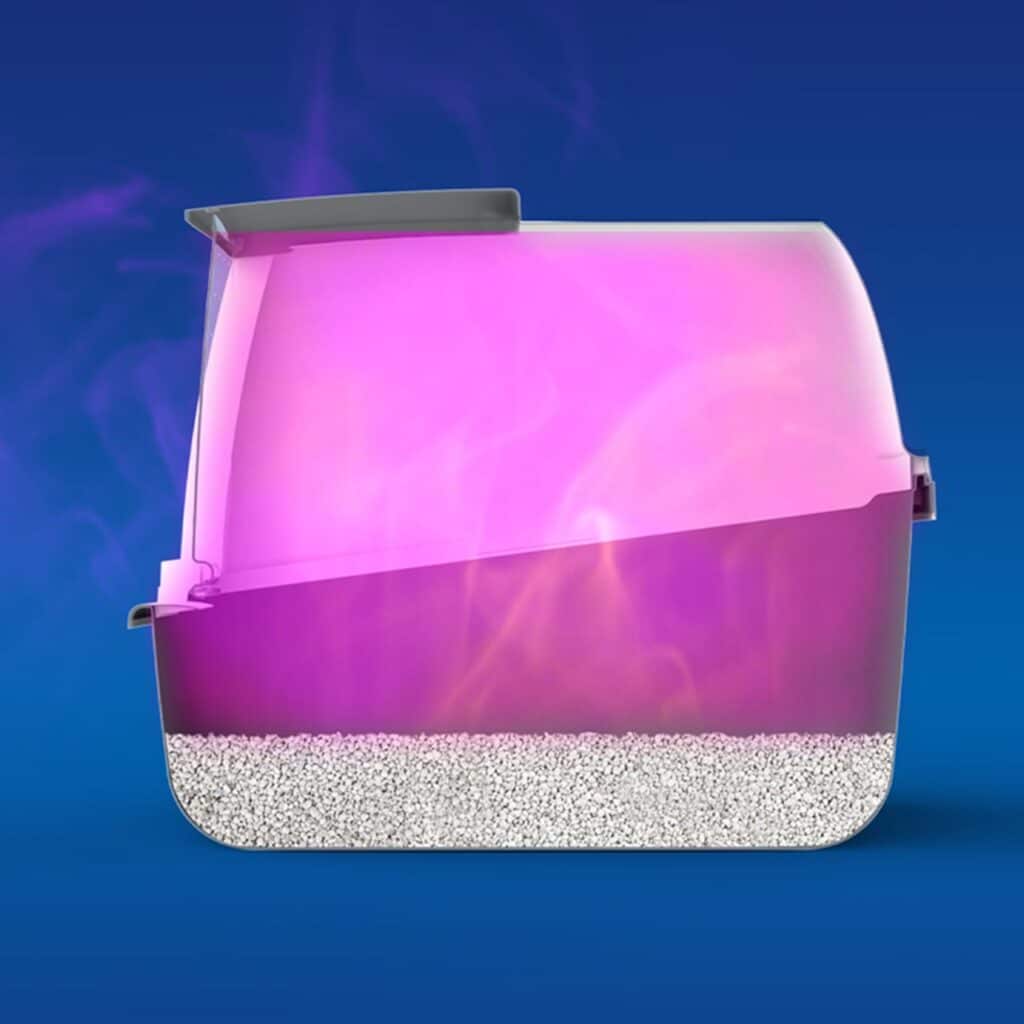 Litter box filter absorbs ammonia gases