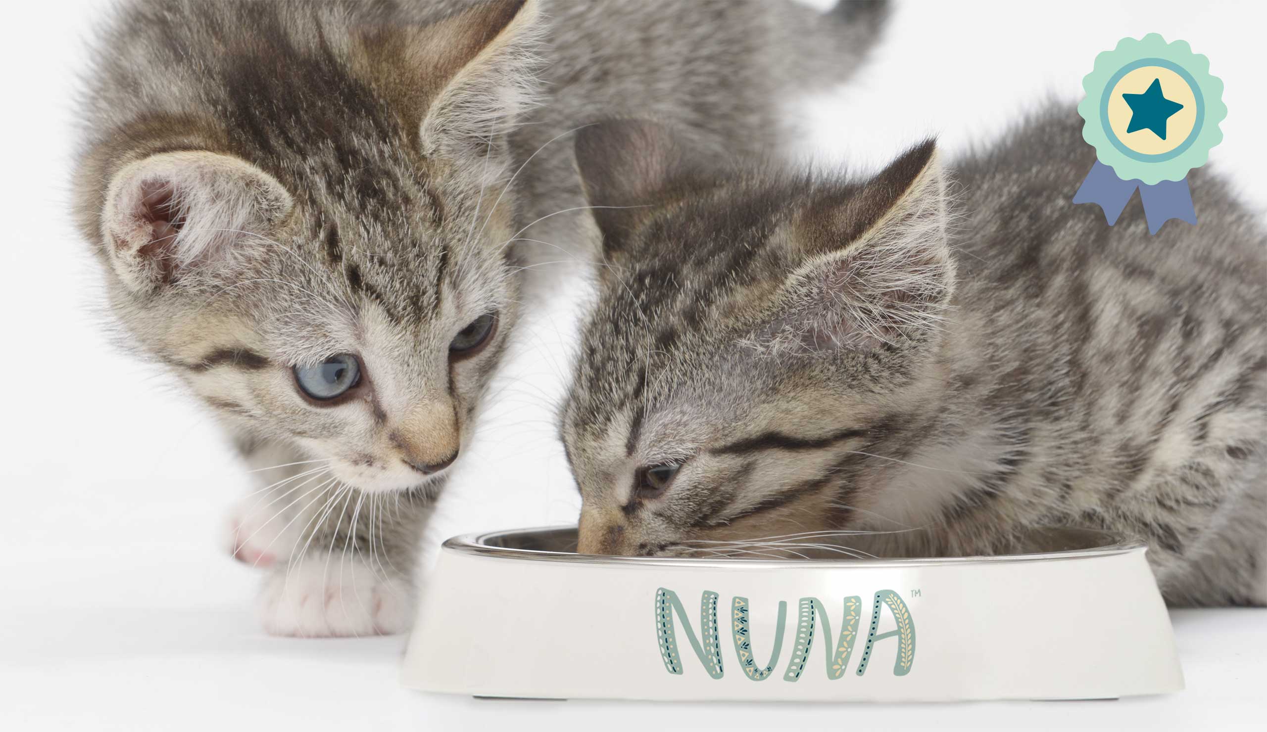 Les recettes Nuna sont gagnantes au test de goût selon notre jury de chats