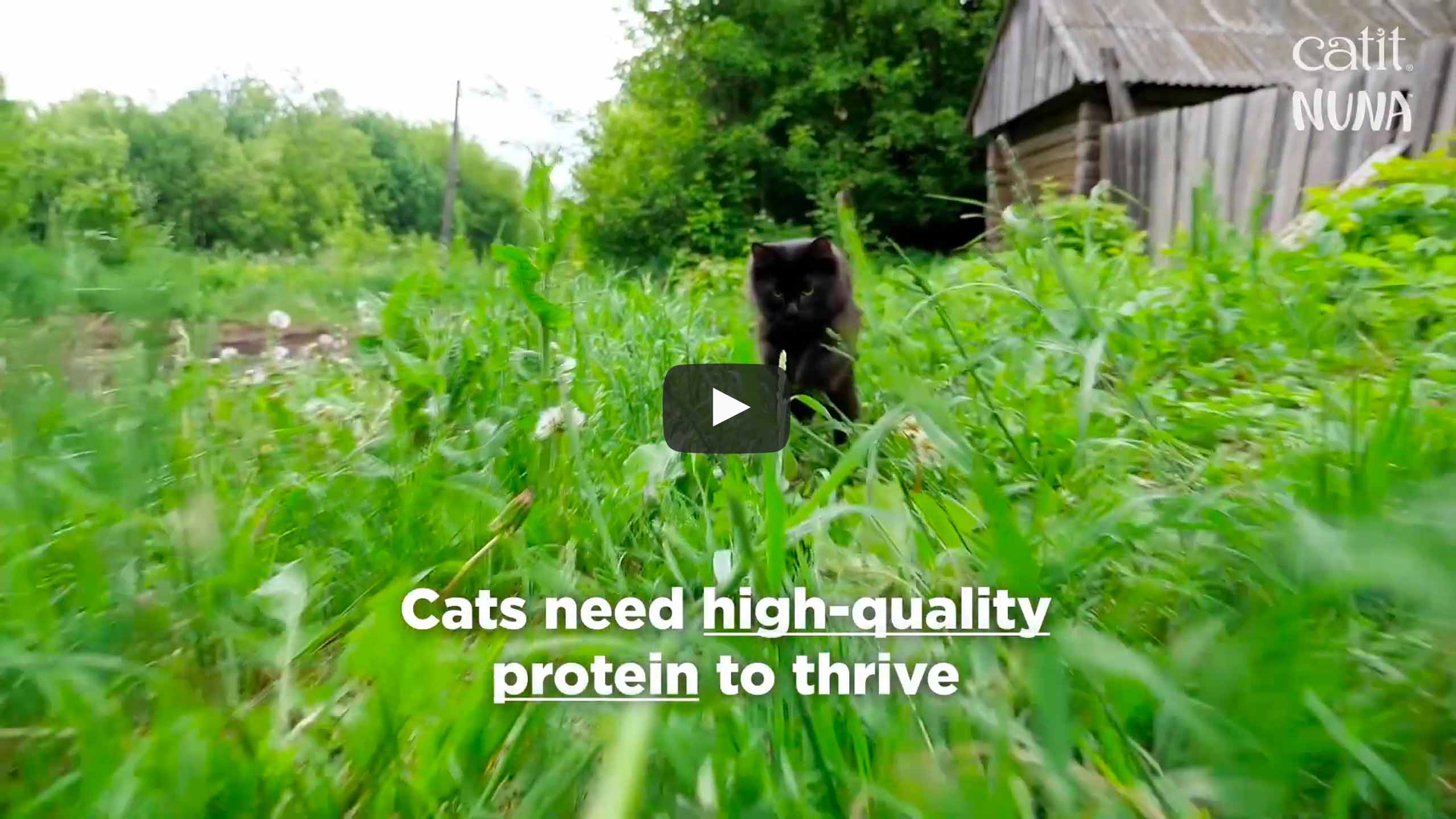 Wideo do karmy dla kotów Catit Nuna