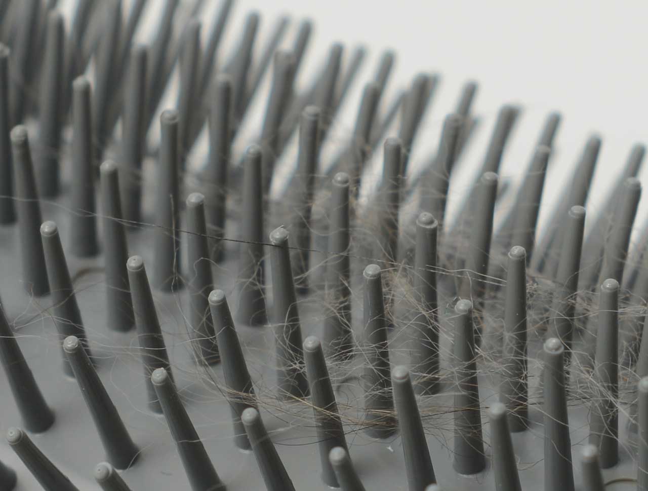 Flexible brush detangles your cat's coat and collects loose cat hairs