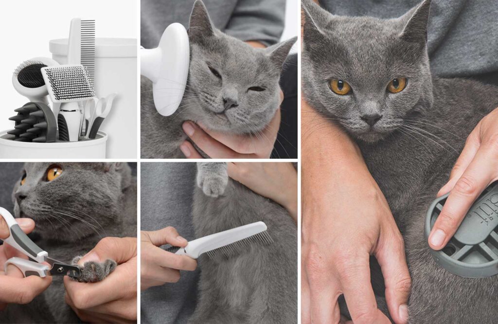 Image showcasing Catit Shorthair Grooming Kit - Products