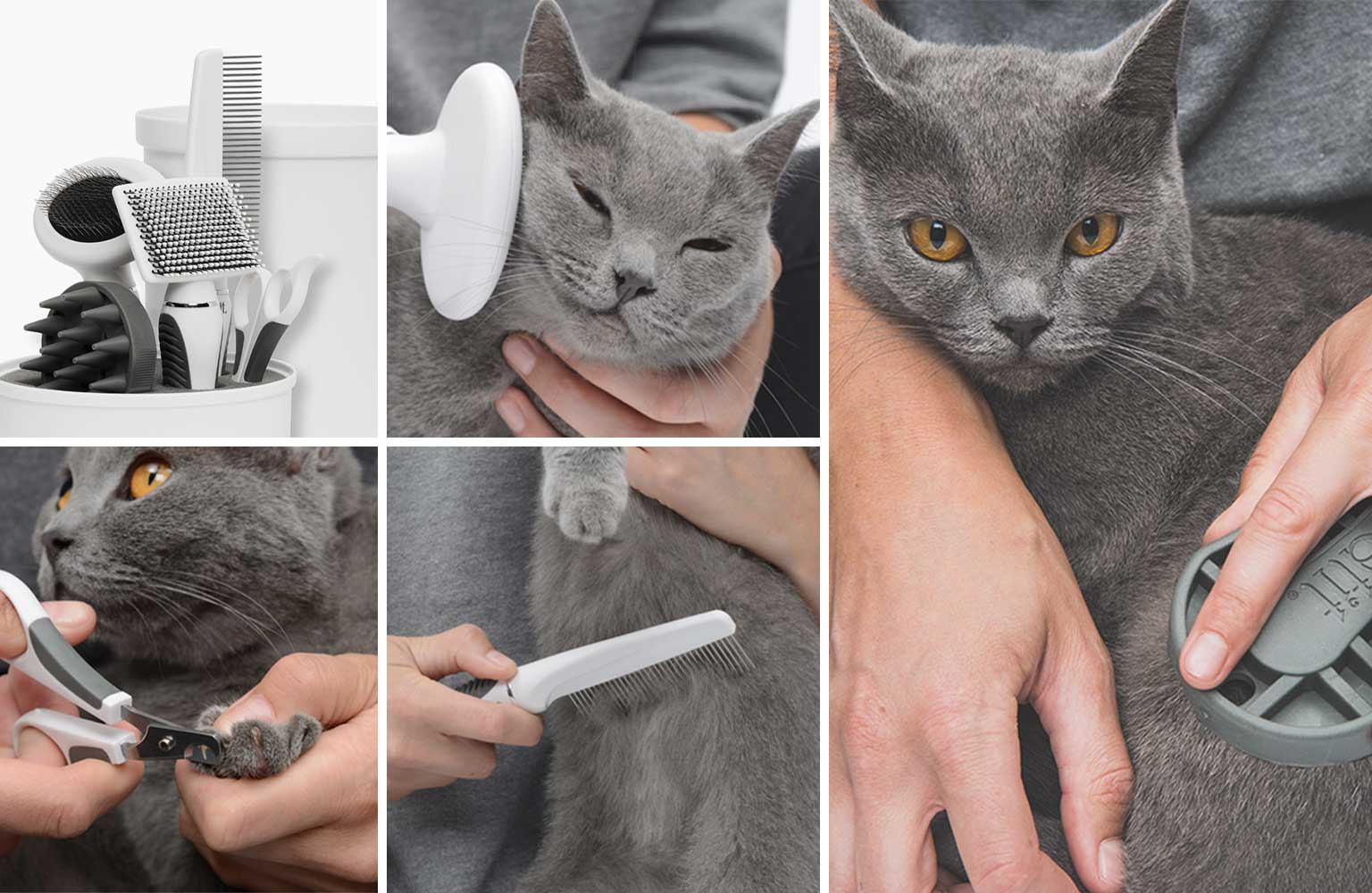 Catit Shorthair Grooming Kit - Products