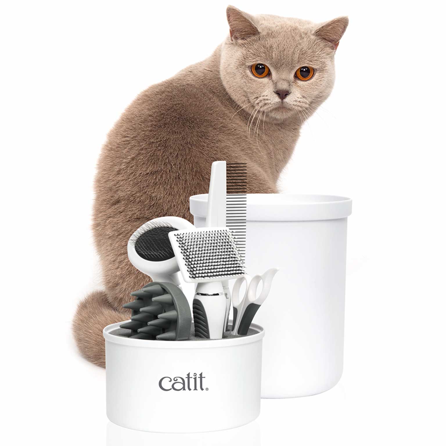 Grooming supplies for shorthaired cats