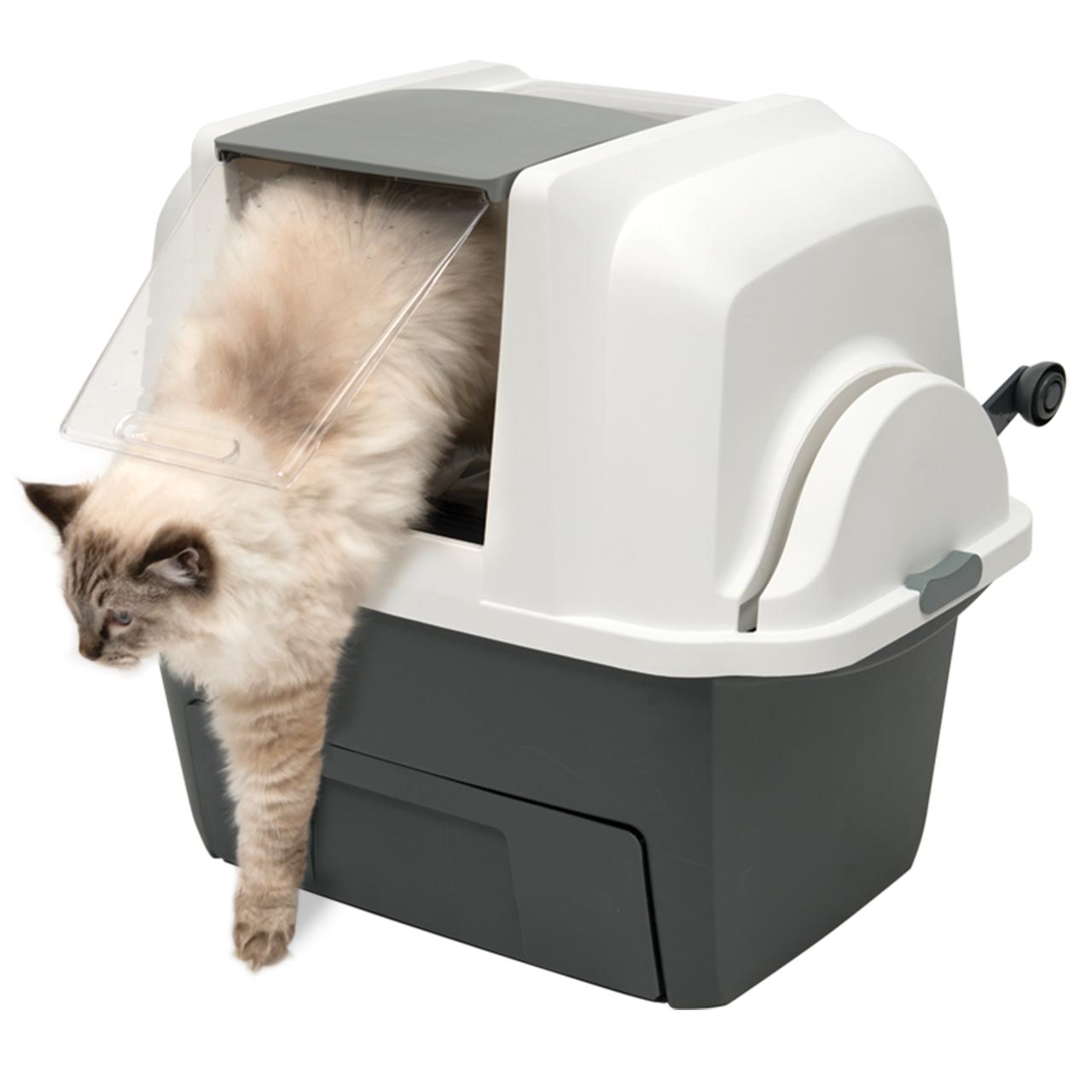 Litter box with paw-friendly removable swinging door and hood for privacy
