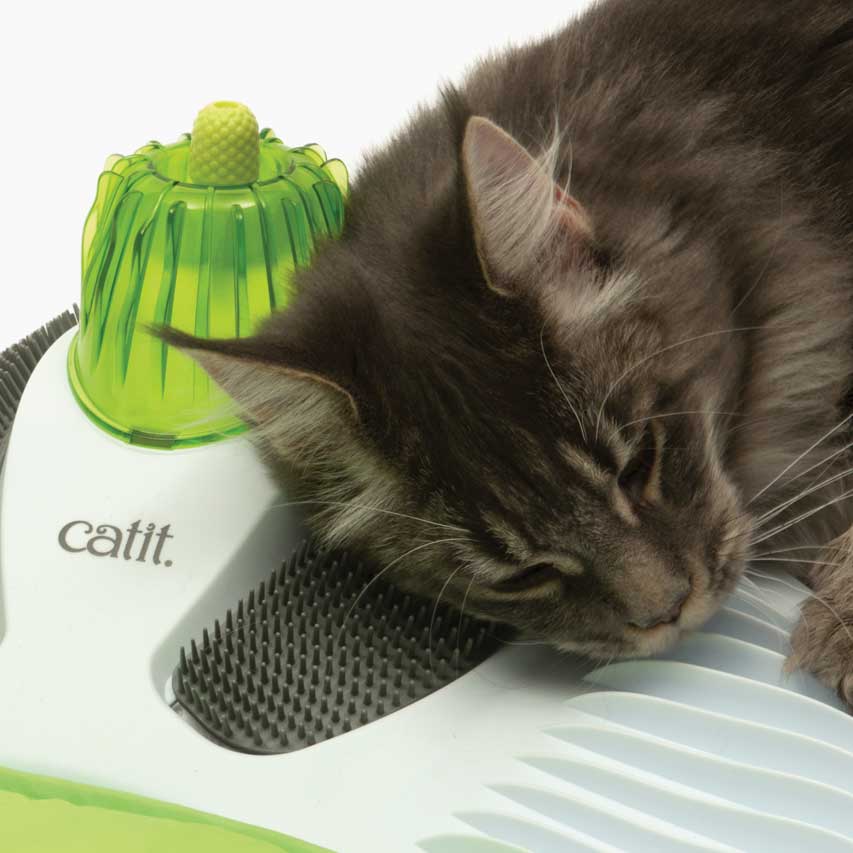 Flexible Bürsten, an denen sich deine Katze putzen kann