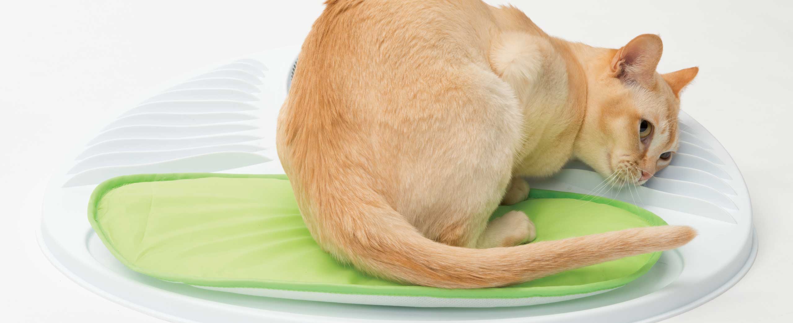 Eine Katze reibt sich an der ergonomisch geformten Basisplatte mit Massagekämmen