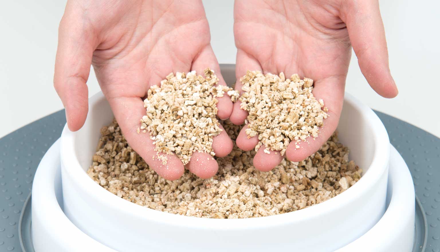 Mistura de vermiculita e sementes para um crescimento óptimo e semeadura limpa