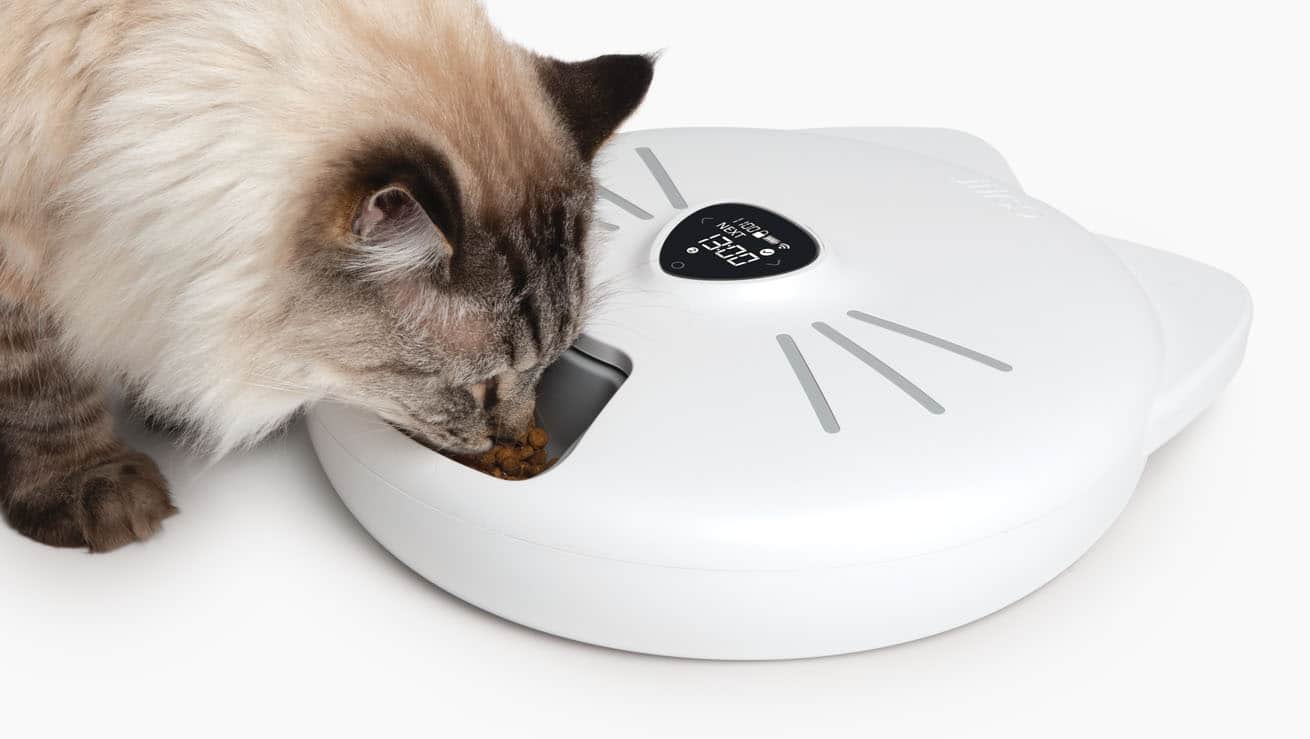 Eine Katze frisst eine servierte Mahlzeit aus einem Fach in der Futterschale des PIXI Smart-Futterautomaten mit 6 Mahlzeiten