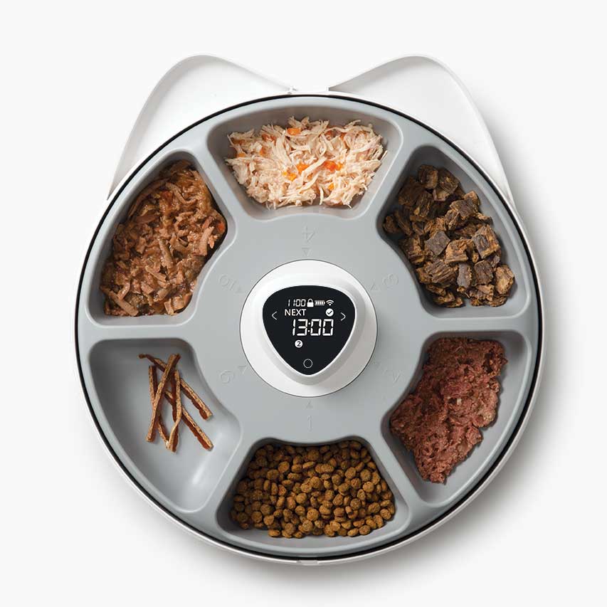 6 meals to be served with the smart cat feeder