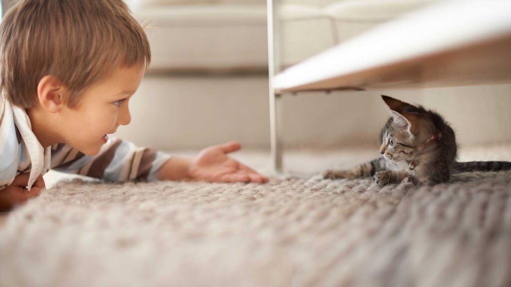Wie du deinem Kind beibringst, behutsam mit Katzen umzugehen