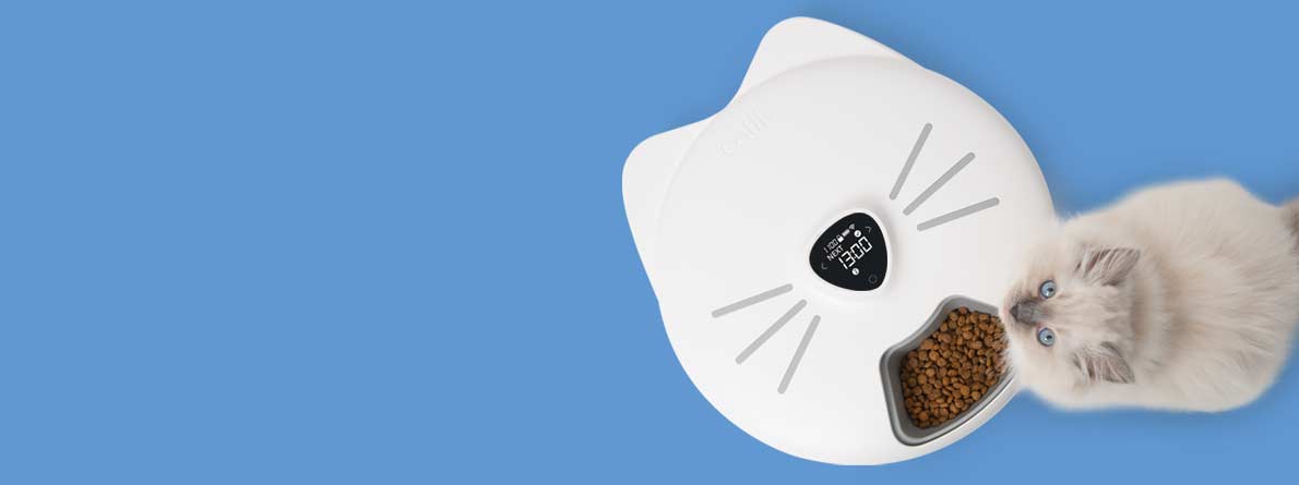 Discover your Catit PIXI Smart 6-meal Feeder