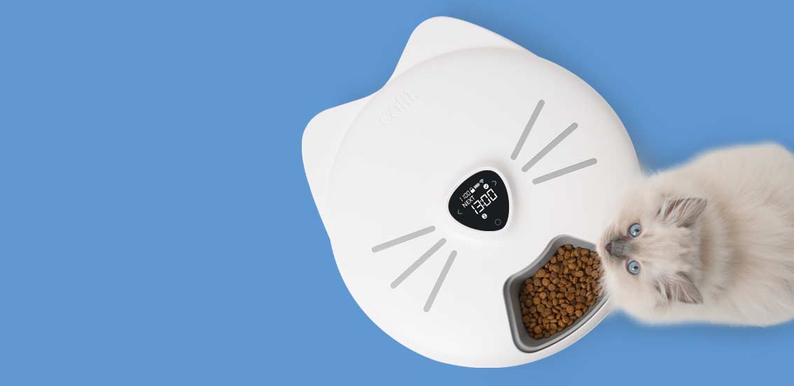 Discover your Catit PIXI Smart 6-meal Feeder