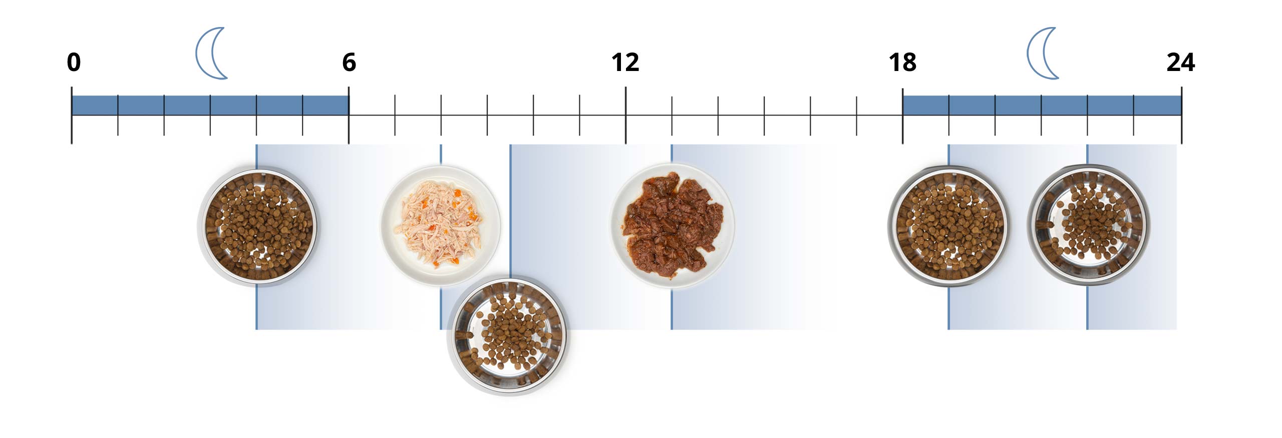 Voorbeeld van een 24-uren voedingsschema voor katten