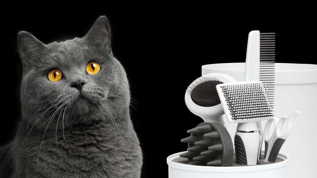 Catit Grooming - Products - Cat Grooming Set For Short Hair