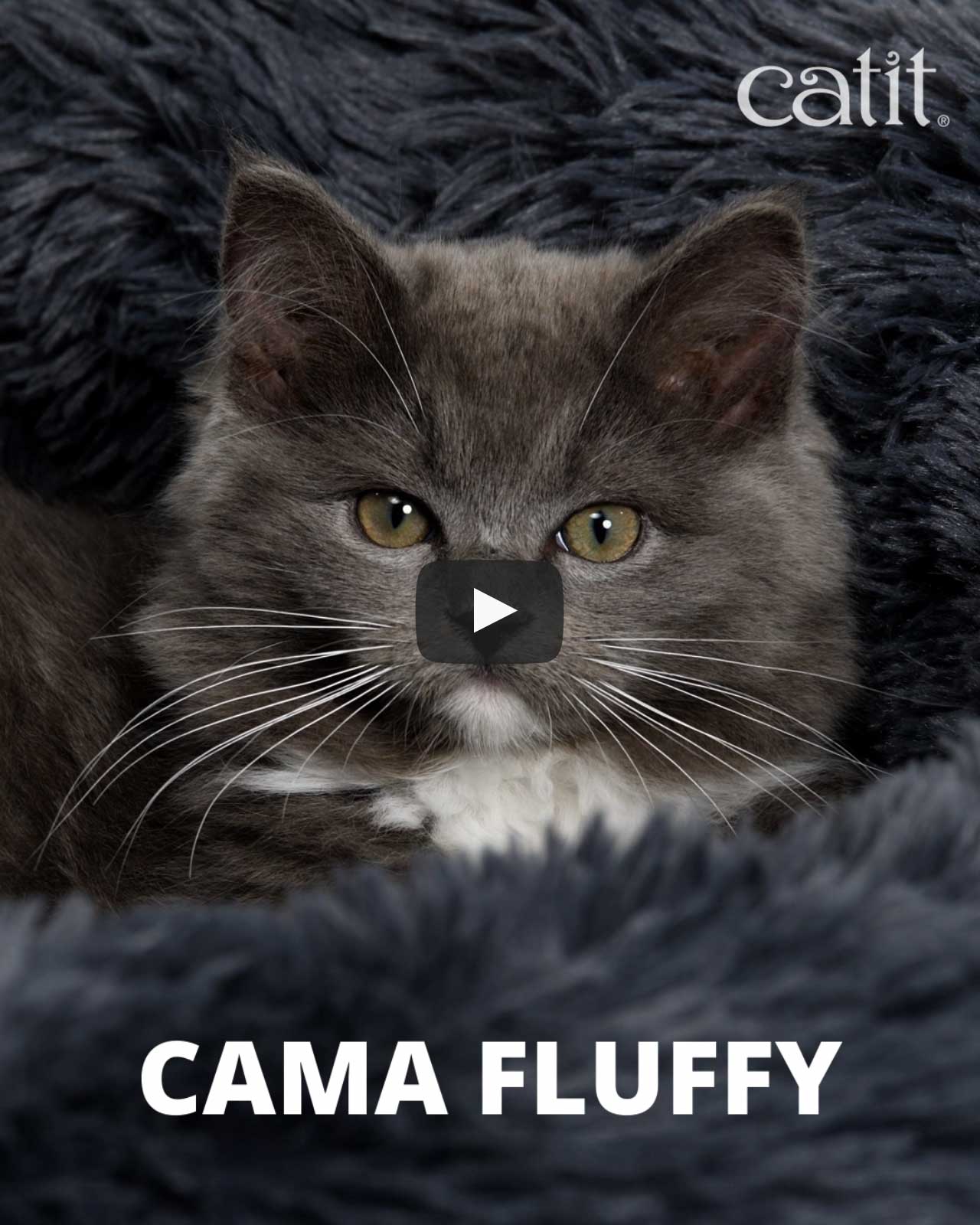 video de la Cama Fluffy Catit