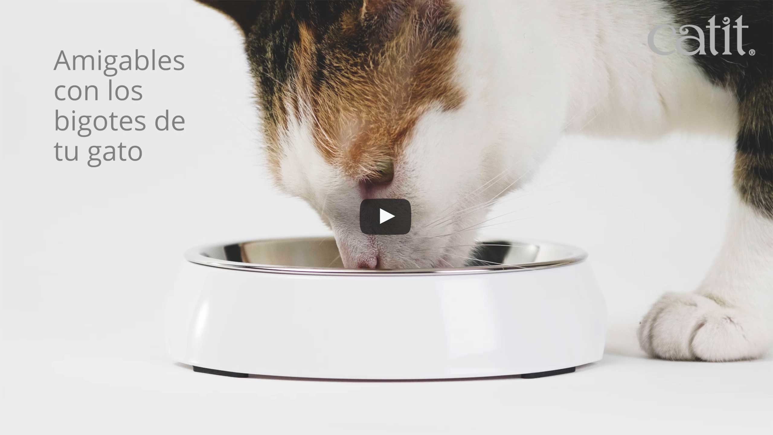 Video de Platos de Comida para Gatos Catit
