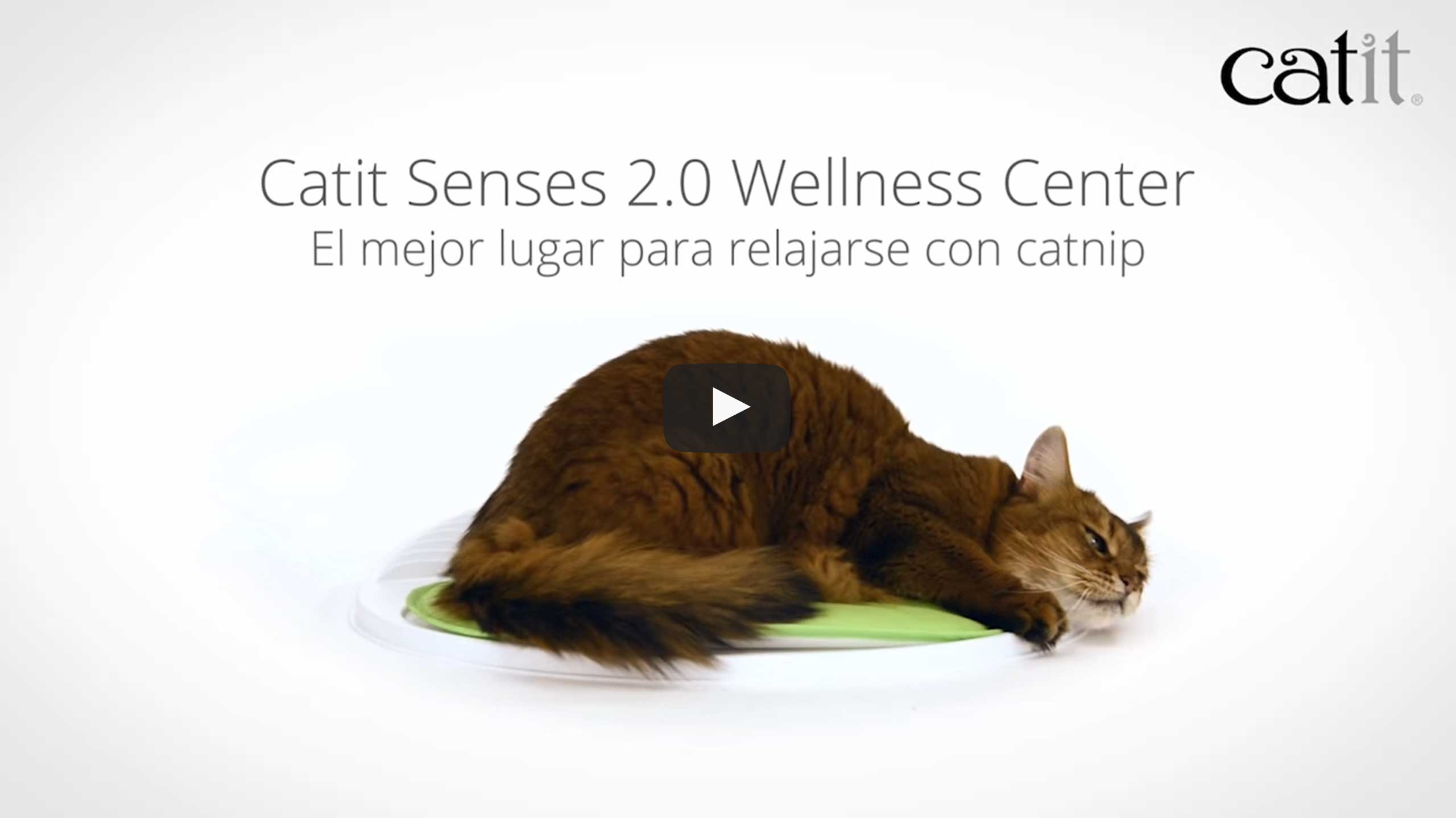 Video del Catit Senses Wellness Center