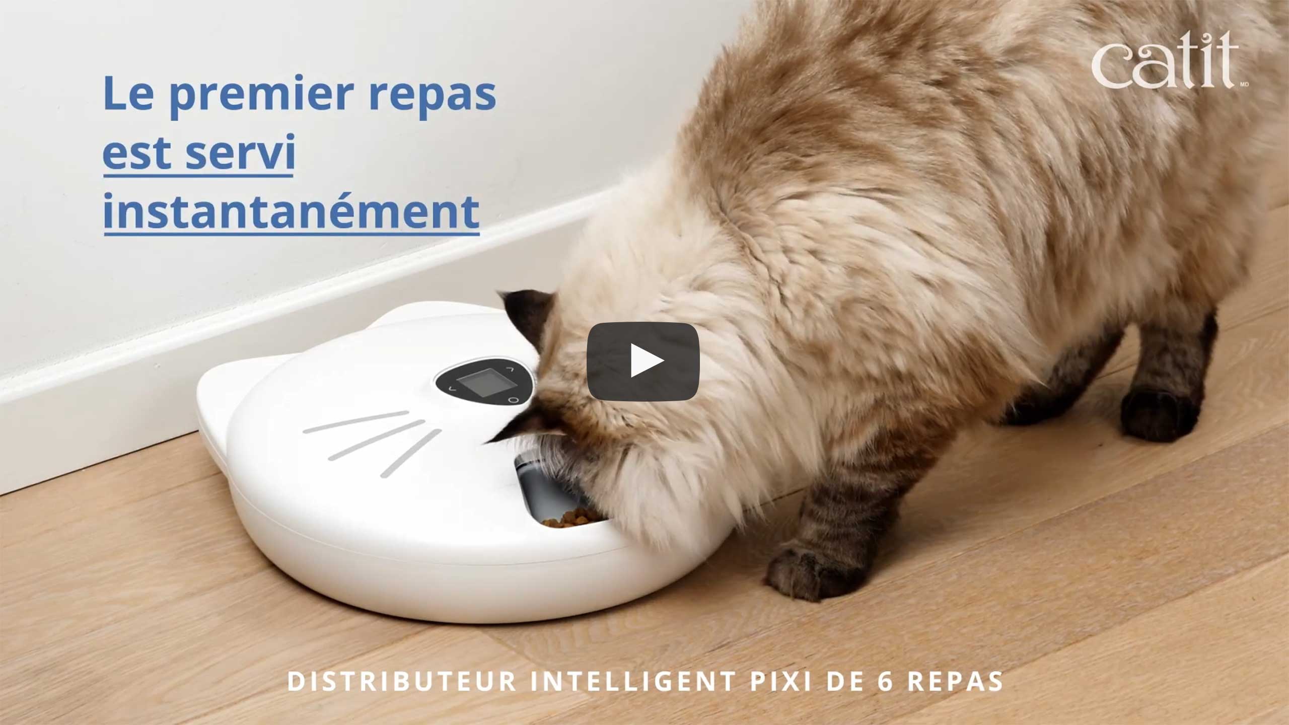 Blocs réfrigérants pour Distributeur 6 repas Catit PIXI