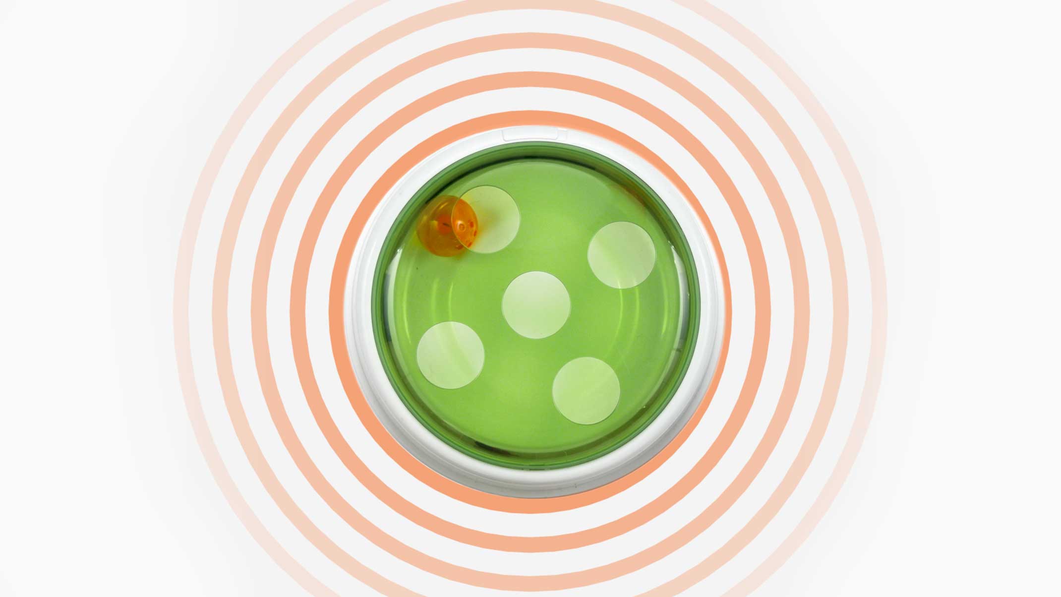 Catit Senses Ball Dome toy with a green base and an orange ball inside