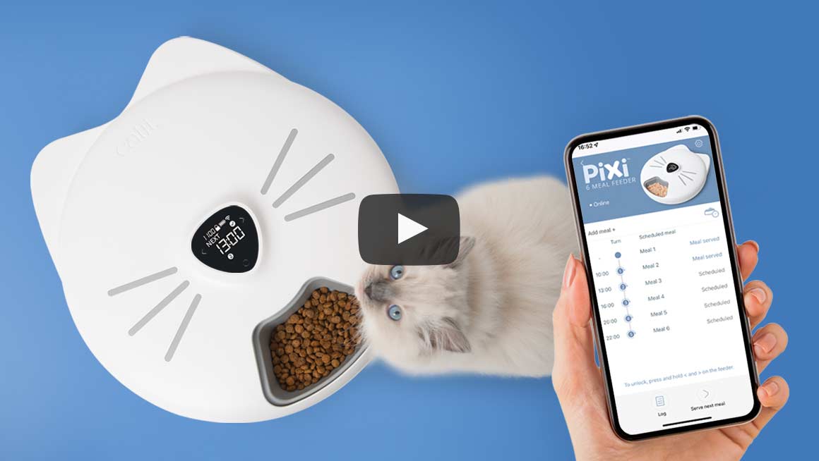 PIXI Smart 6-Meal Feeder Video
