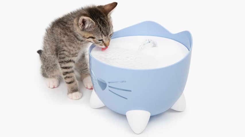 Catit Drinking Fountains