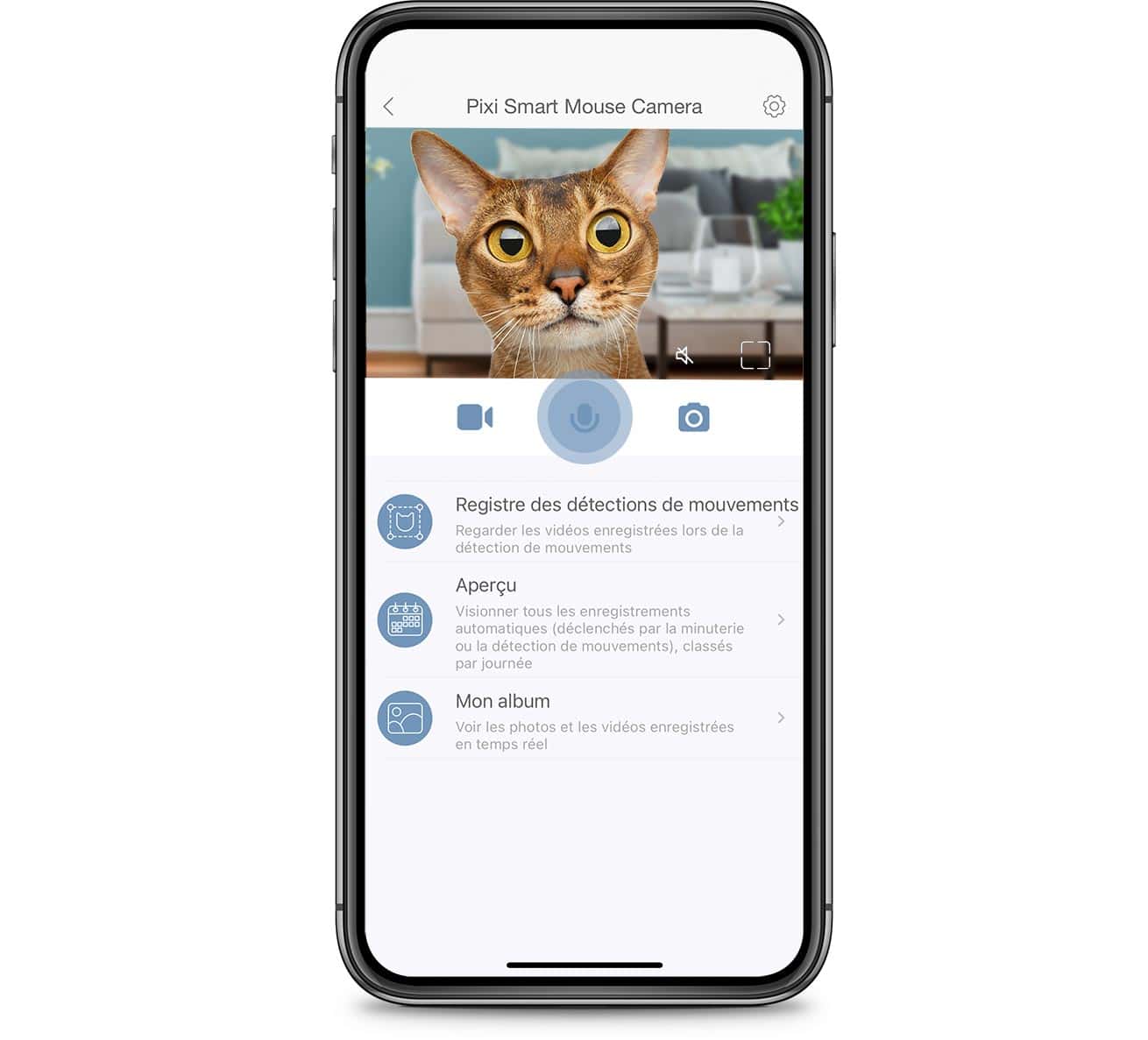 Parler à son chat avec l’appli PIXI