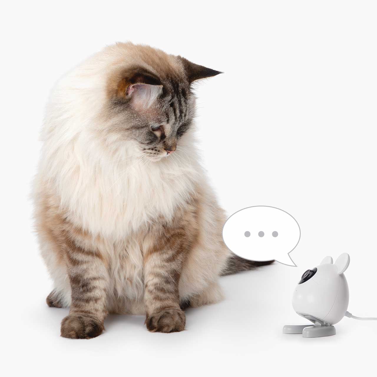Two way audio - talk to your cat
