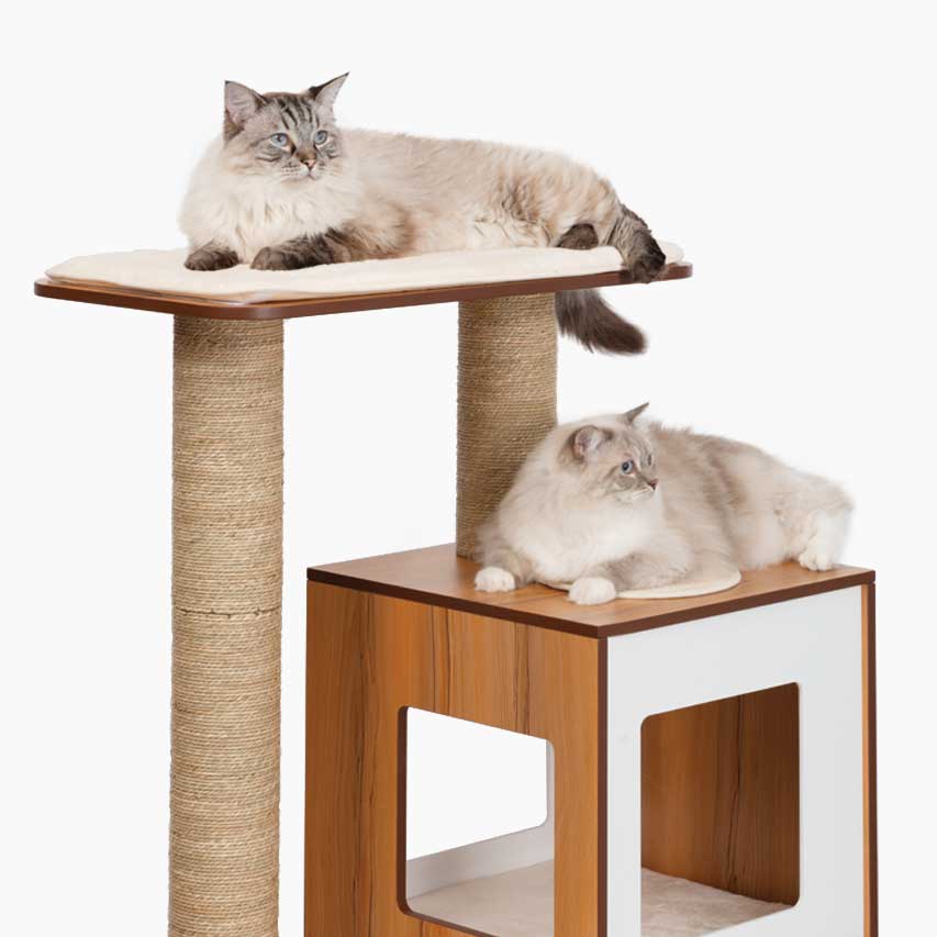 Stabilne drzewko dla kotów z bardzo dużymi platformami